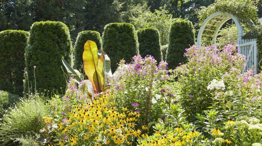 Shade gardening stressed at Edgecombe Garden Club